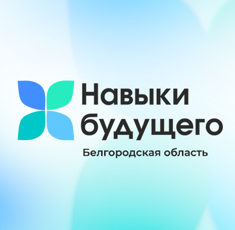 Создание непрерывной системы развития навыков будущего для цифровой экономики учащихся общеобразовательных организаций Белгородской области